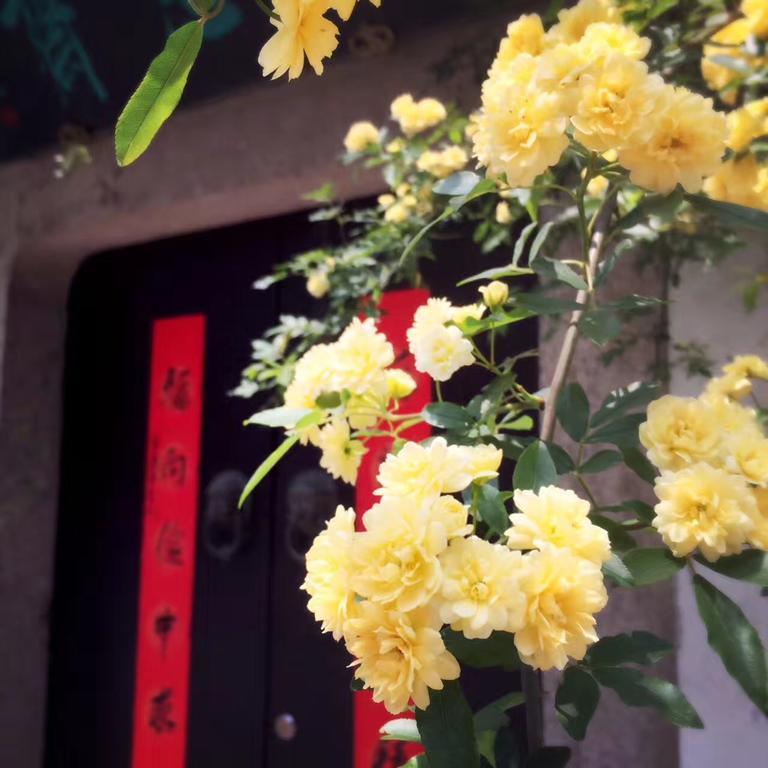 Zuo Wang Zhai Guesthouse Suzhou  Exterior photo